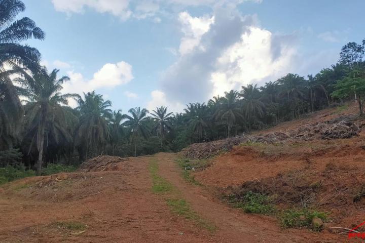 Premium Agricultural Land for Sale or Rent in Pedas, Rembau Negeri Sembilan