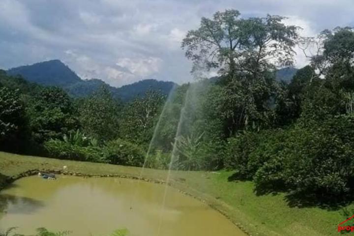 Malay Reserve Land with Stunning Bungalow Villa for Sale in Janda Baik, Bentong, Pahang